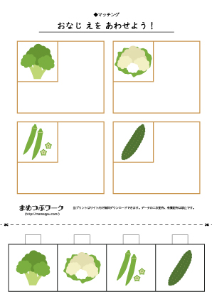 【マッチングプリント】野菜5