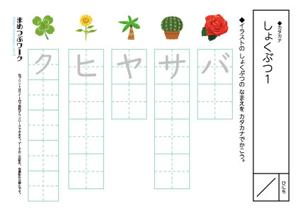 カタカナプリント|植物1空欄