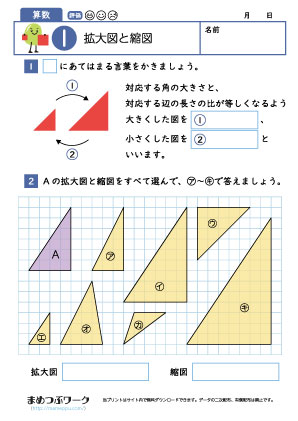 小6算数プリント|拡大図と縮図1