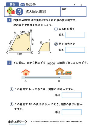 小6算数プリント|拡大図と縮図3