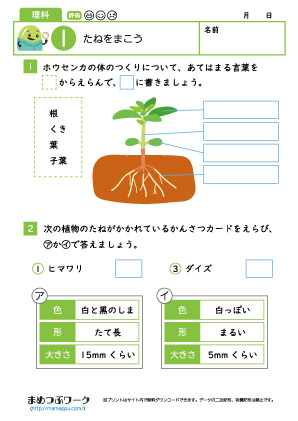 小3理科│たねをまこう1