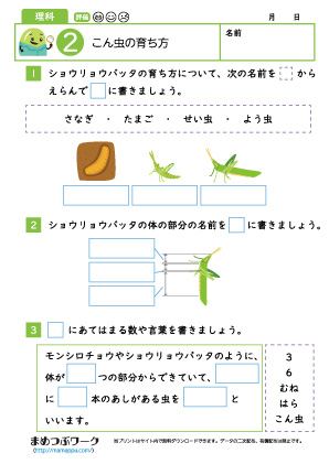 小3理科プリント│昆虫の育ち方2修正版