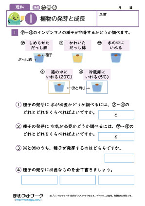 小5理科プリント|植物の発芽と成長1