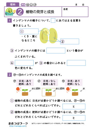 小5理科プリント|植物の発芽と成長2