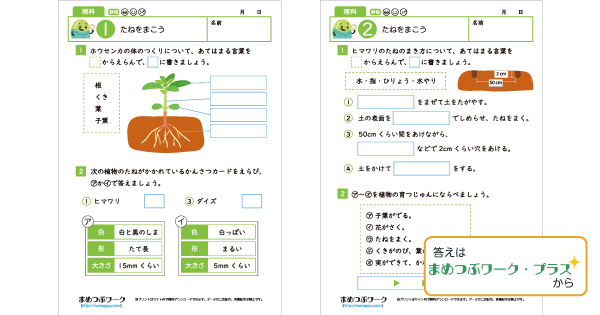 小3プリントのサムネイル画像