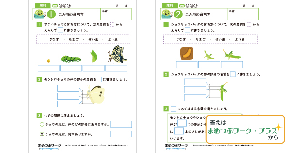 小3理科プリントのサムネイル画像