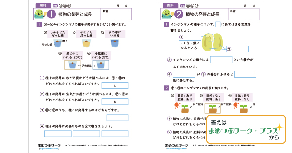 小5理科プリントのサムネイル画像