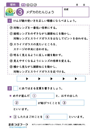 小5理科プリント|メダカ3