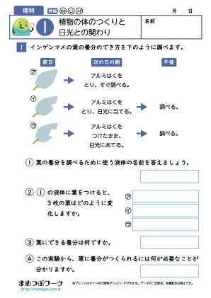 小6理科プリント|植物と日光1