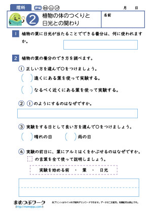 小6理科プリント|植物と日光2