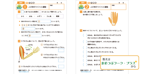 小4理科プリントのサムネイル画像