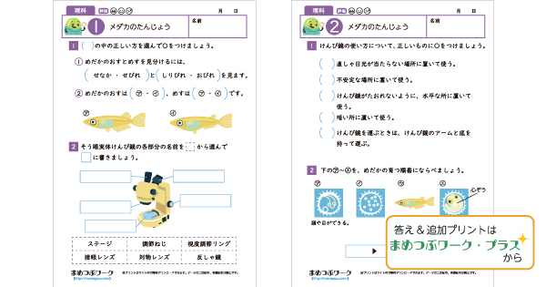 小5理科プリントのサムネイル画像