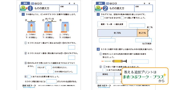 小6理科プリントのサムネイル画像