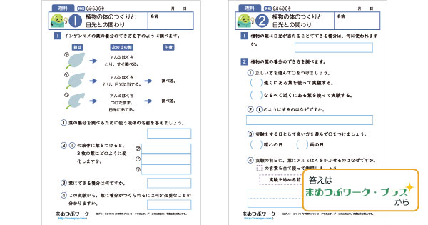 小6理科プリントのサムネイル画像