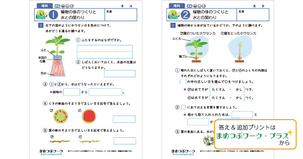 小6理科プリントのサムネイル画像