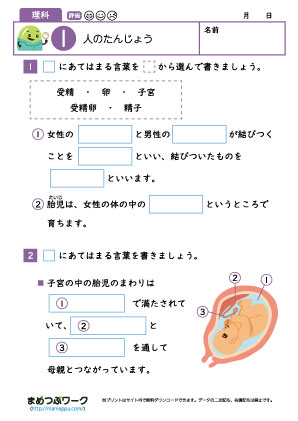 小5理科│人のたんじょう1