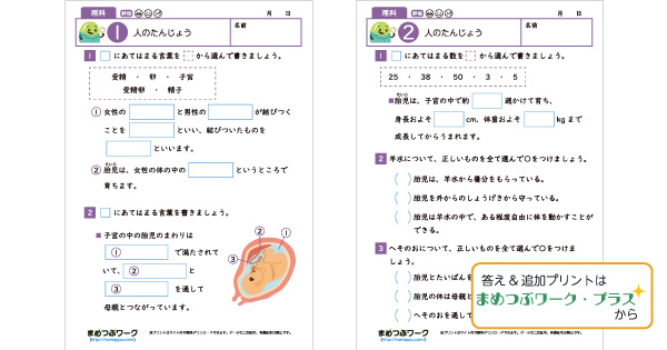 小5理科プリントのサムネイル画像