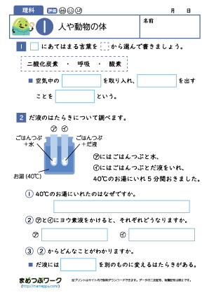 小6理科│人や動物の体1