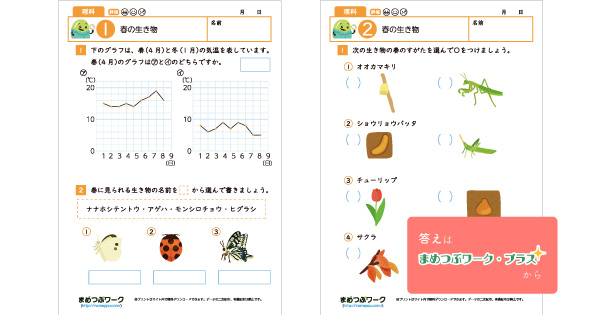 小4理科プリントのサムネイル画像