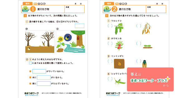 小4理科プリントのサムネイル画像