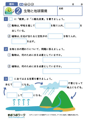 小6理科プリント｜生物と地球環境2