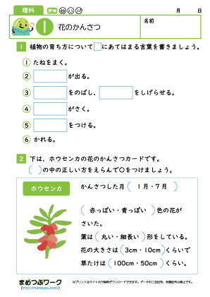 小3理科・花の観察プリント1