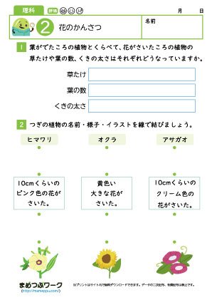 小3理科・花の観察プリント2