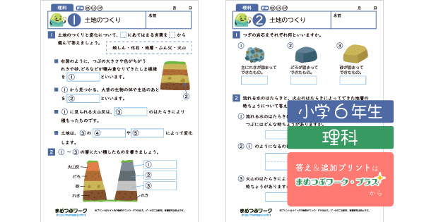 小6理科プリントのサムネイル画像