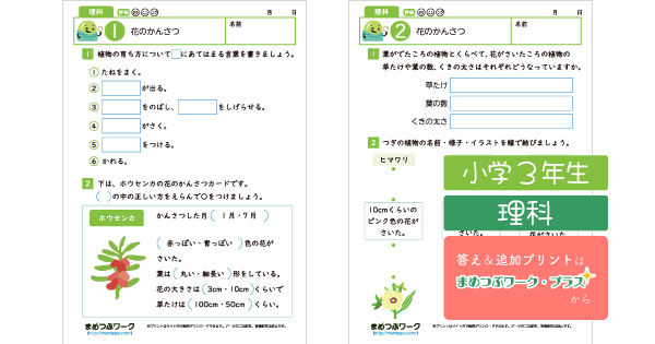 小3理科プリントのサムネイル画像