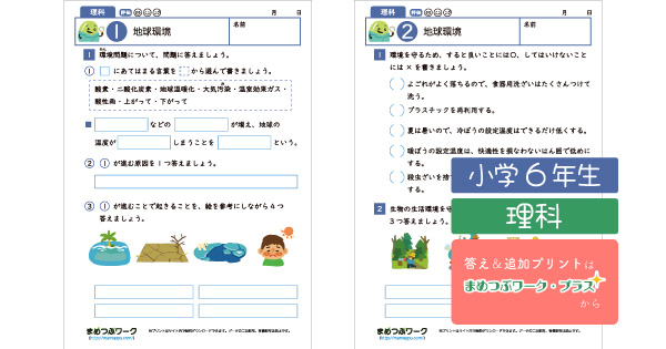 小6理科プリントのサムネイル画像