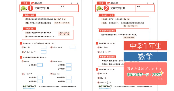 中1数学プリントのサムネイル画像