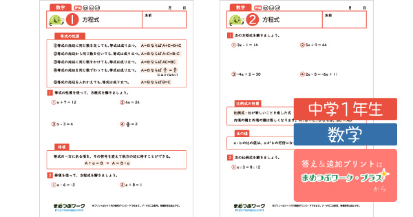 中1数学プリント|方程式のサムネイル画像