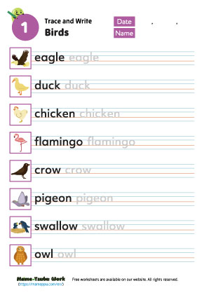 birds vocabulary worksheet1