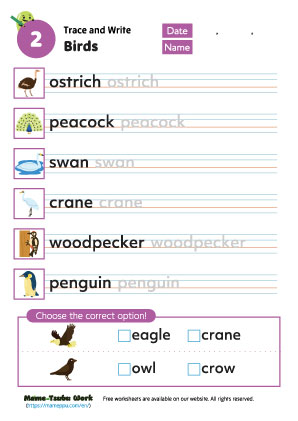 birds vocabulary worksheet2